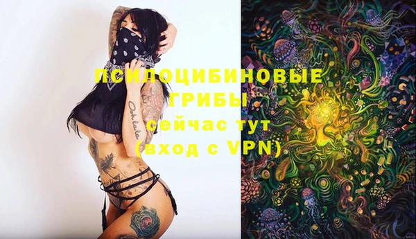 марихуана Абаза