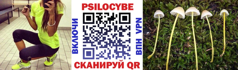 цены наркотик  Кизилюрт  мориарти Telegram  Галлюциногенные грибы Cubensis 