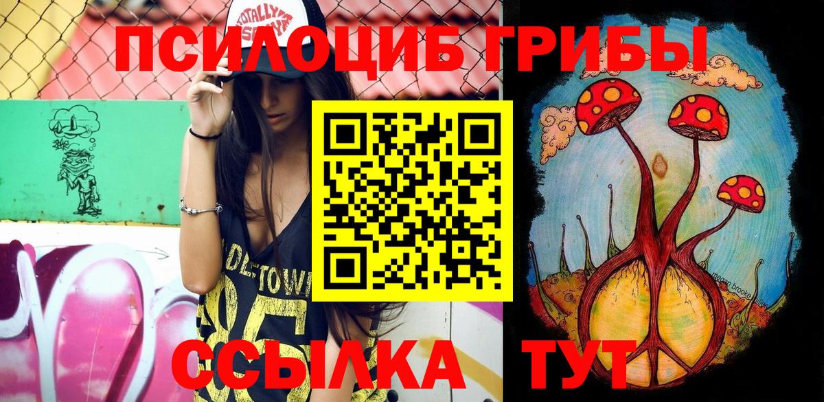 Псилоцибиновые грибы мицелий  Вход с VPN  Кизилюрт 