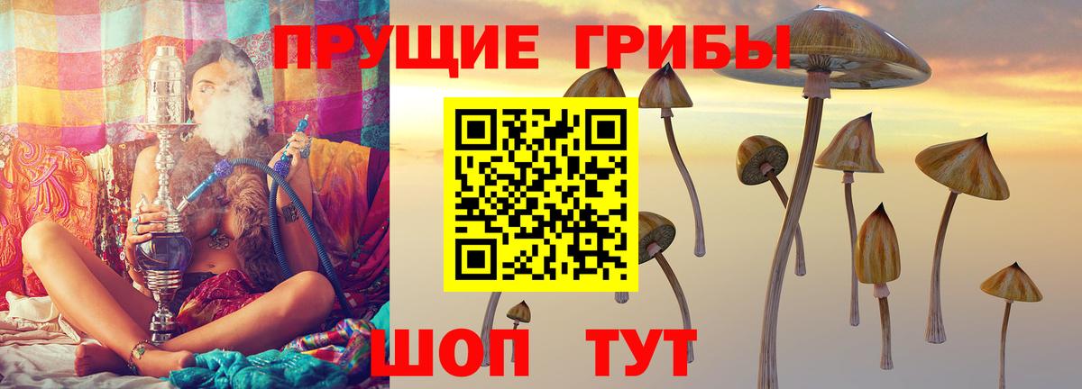 Галлюциногенные грибы Magic Shrooms Кизилюрт